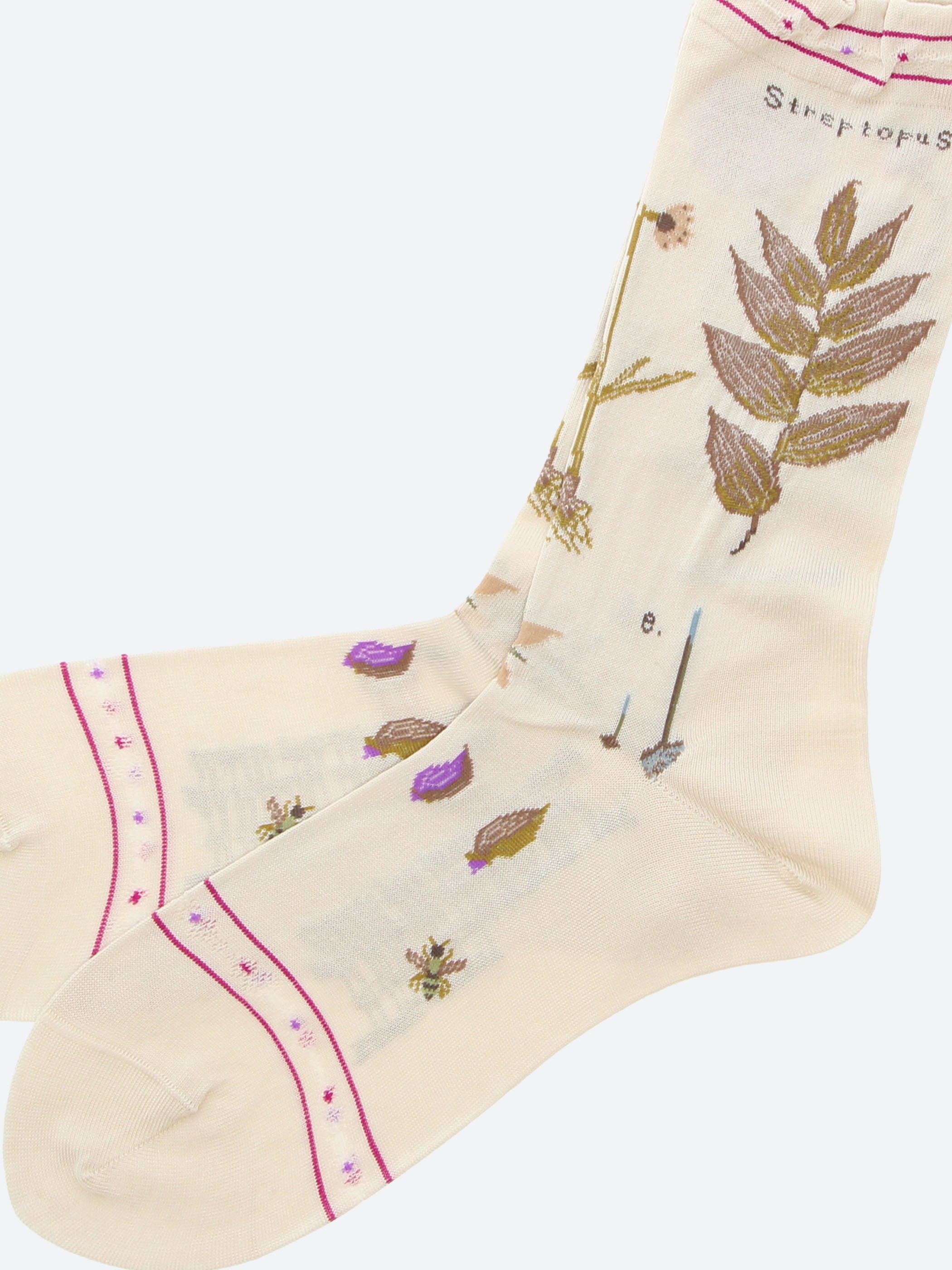 Botanical XVII