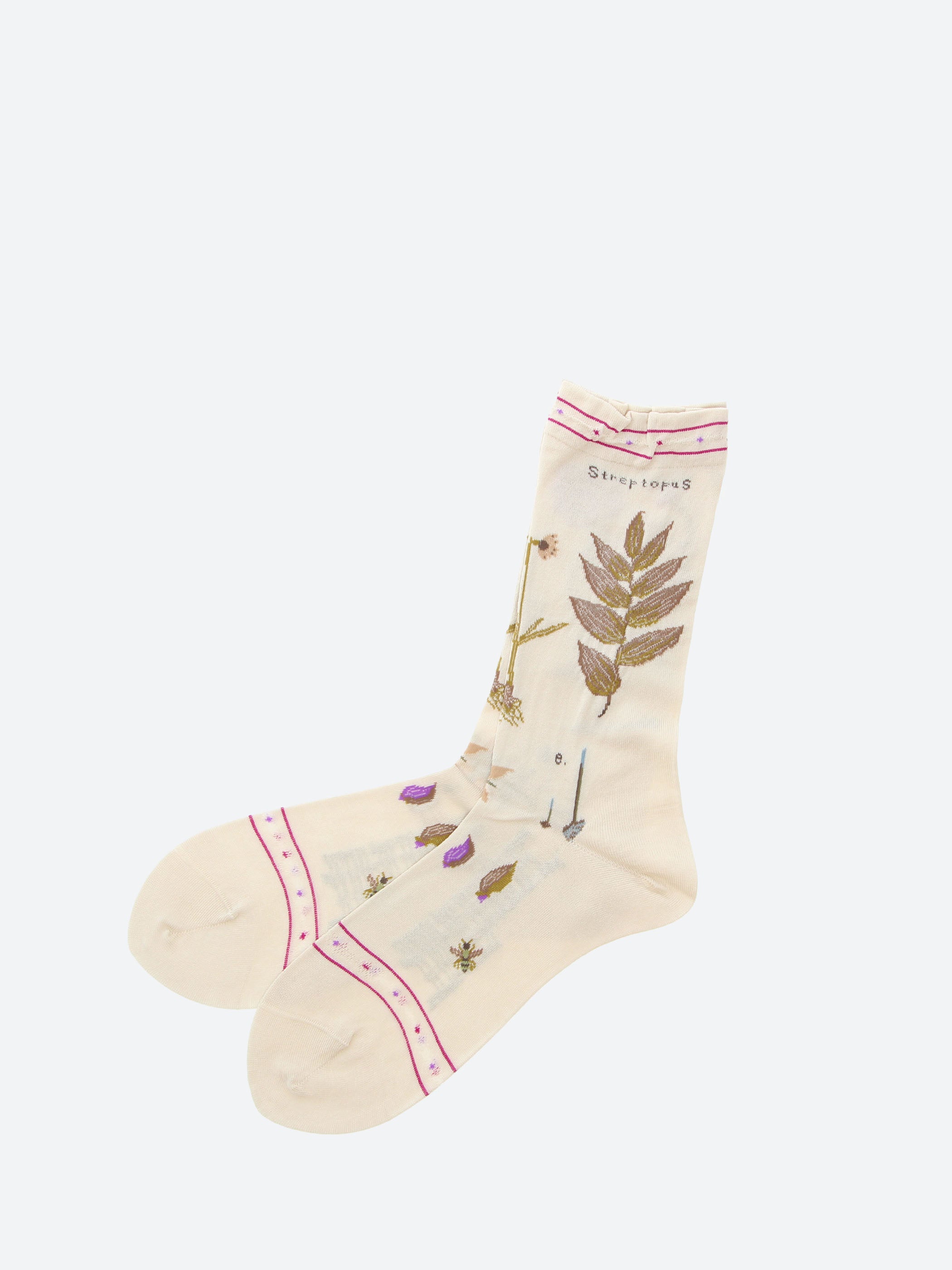 Botanical XVII
