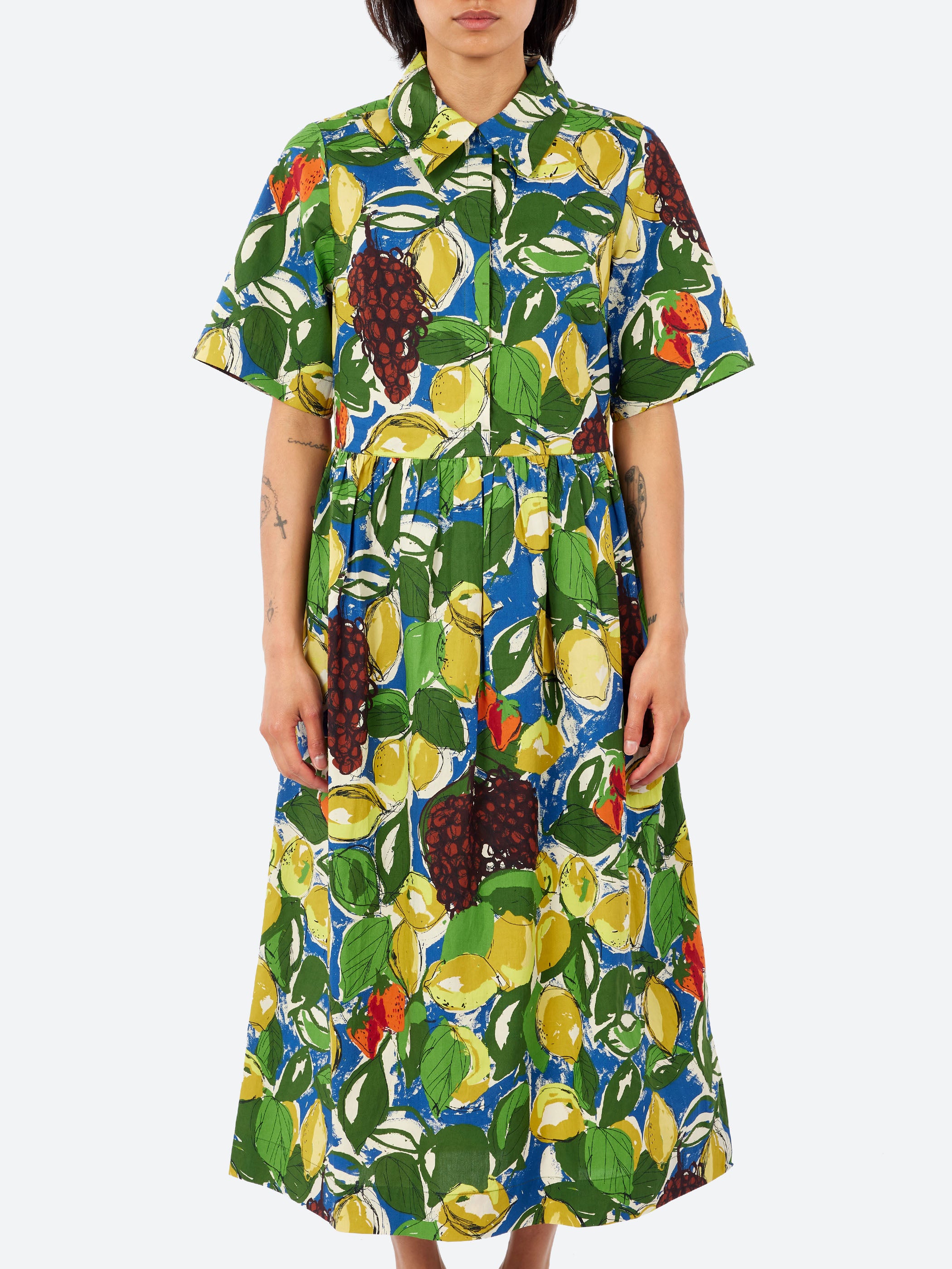 Selma Sketched Fruit Print Shirt Dress