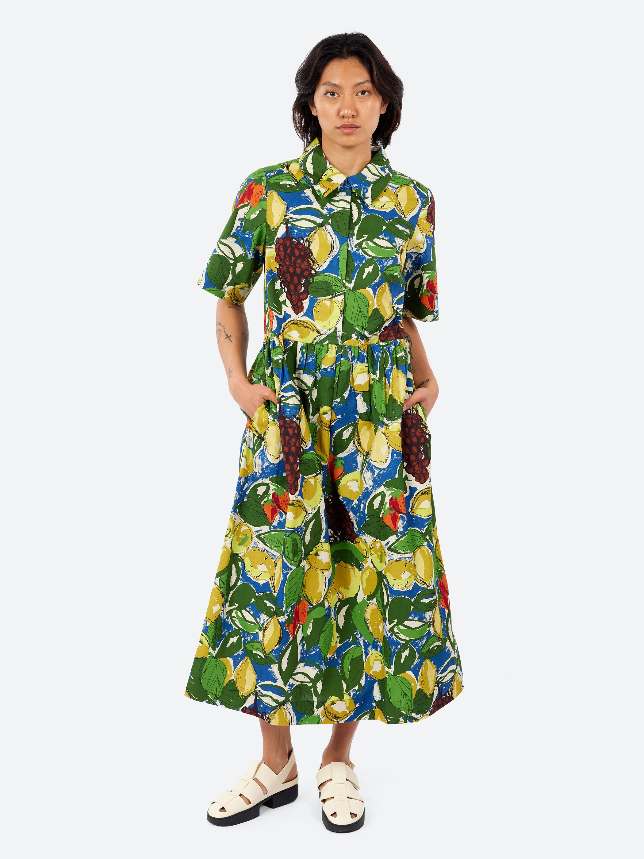 Selma Sketched Fruit Print Shirt Dress