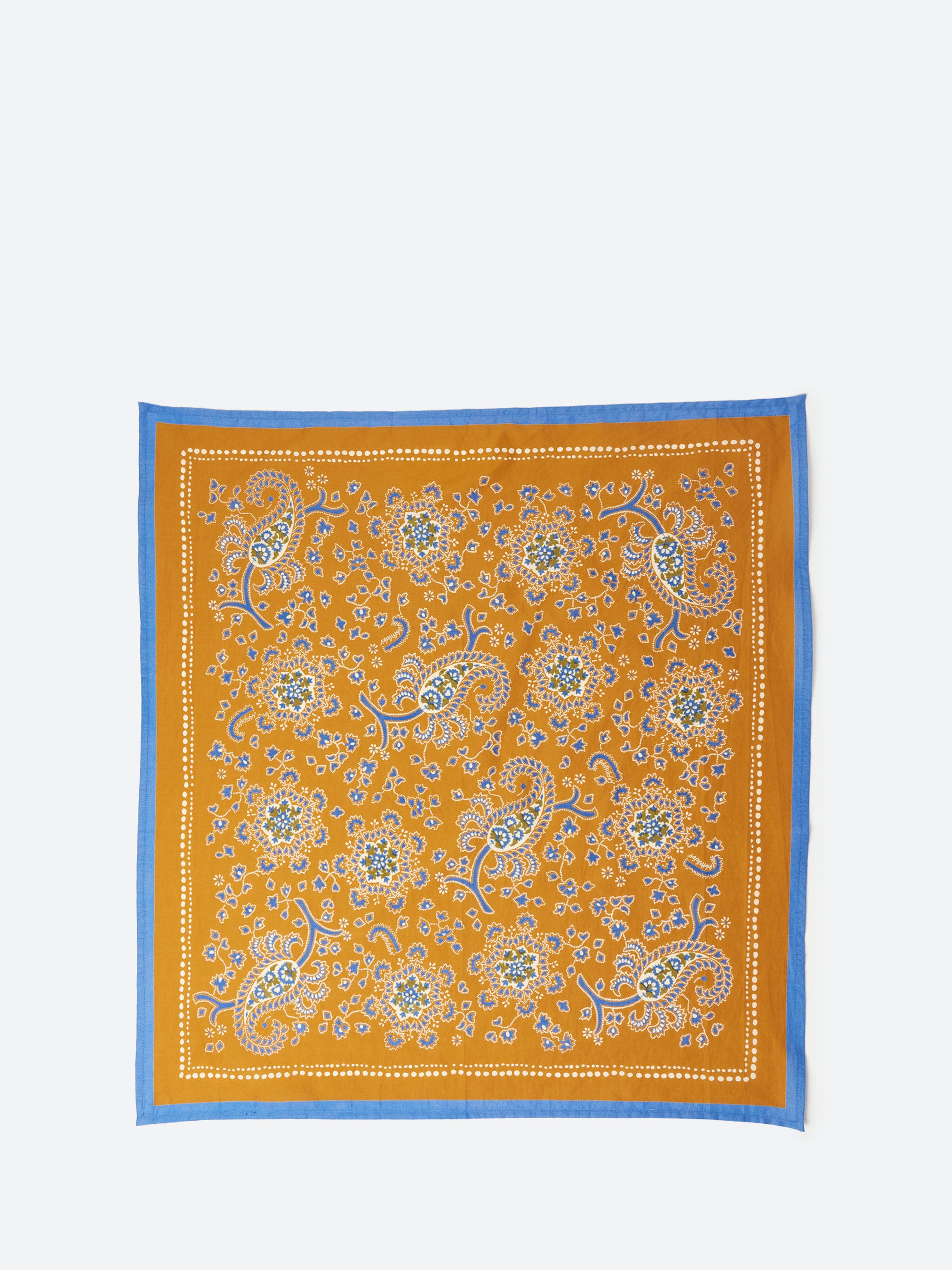 Provencal Paisley Bandana