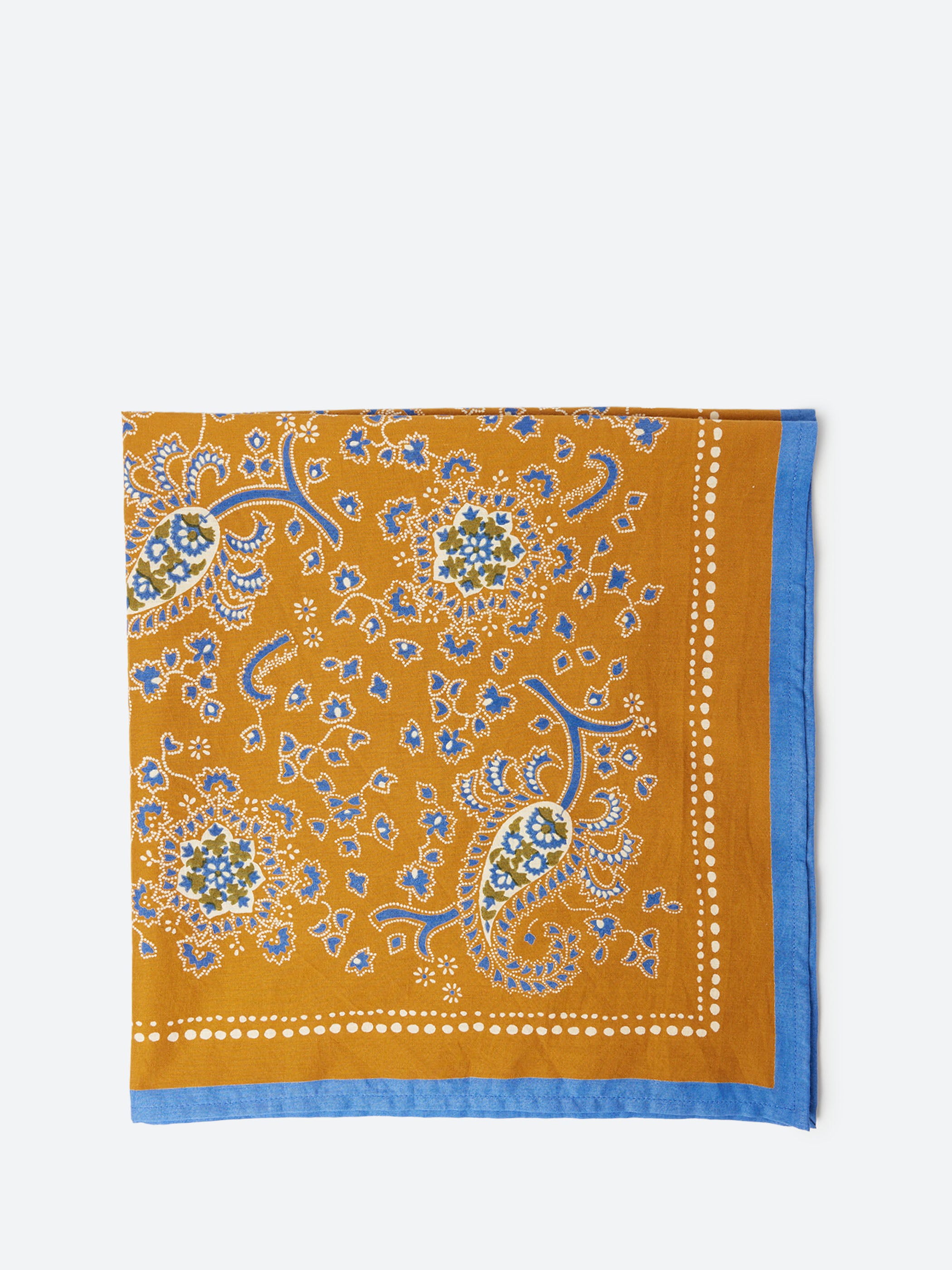 Provencal Paisley Bandana