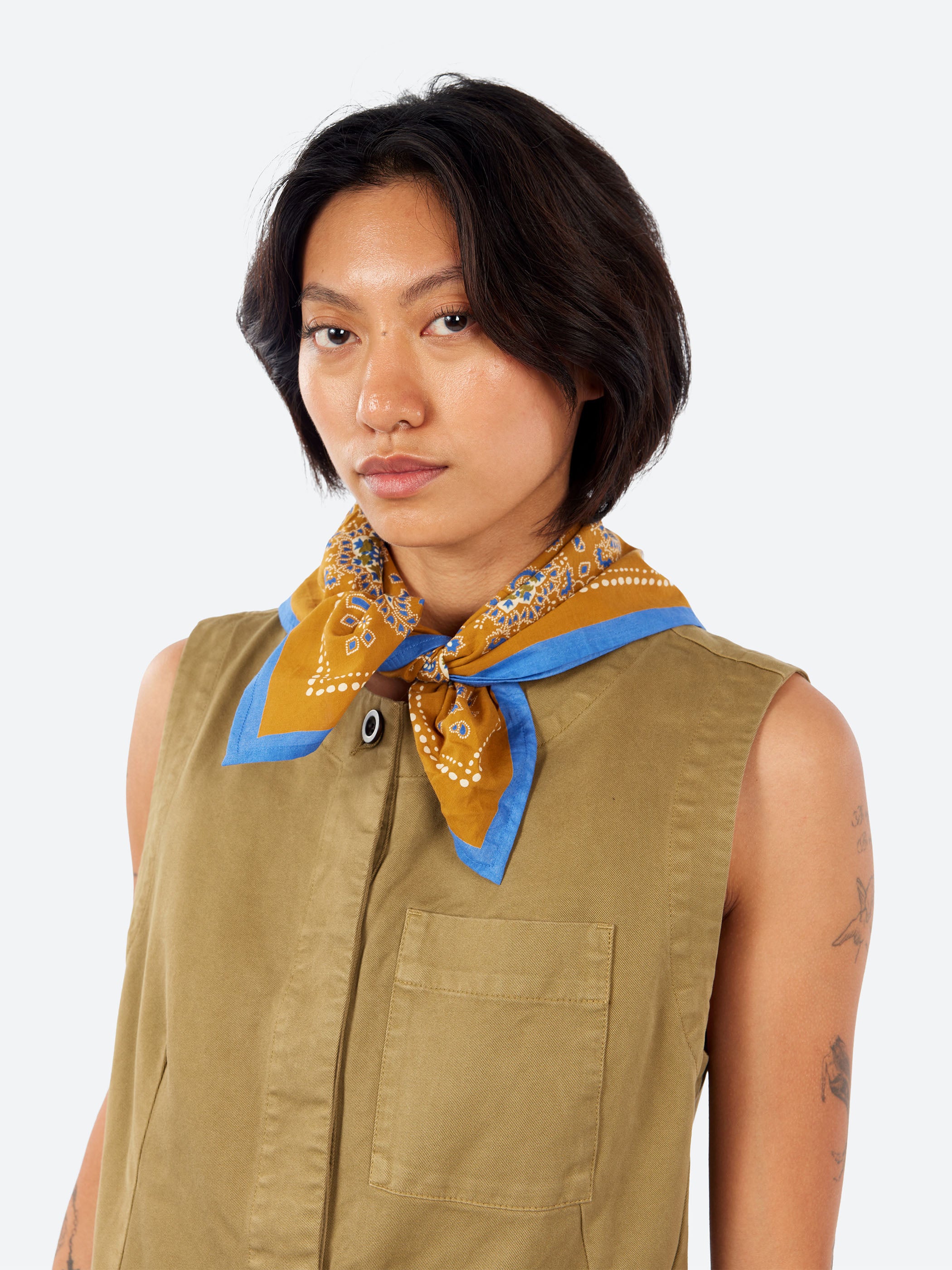 Provencal Paisley Bandana