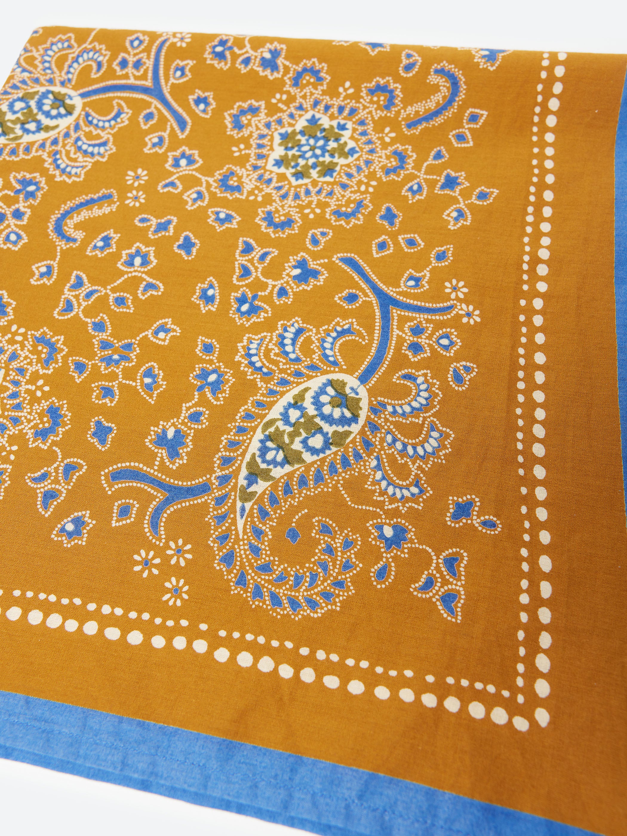 Provencal Paisley Bandana