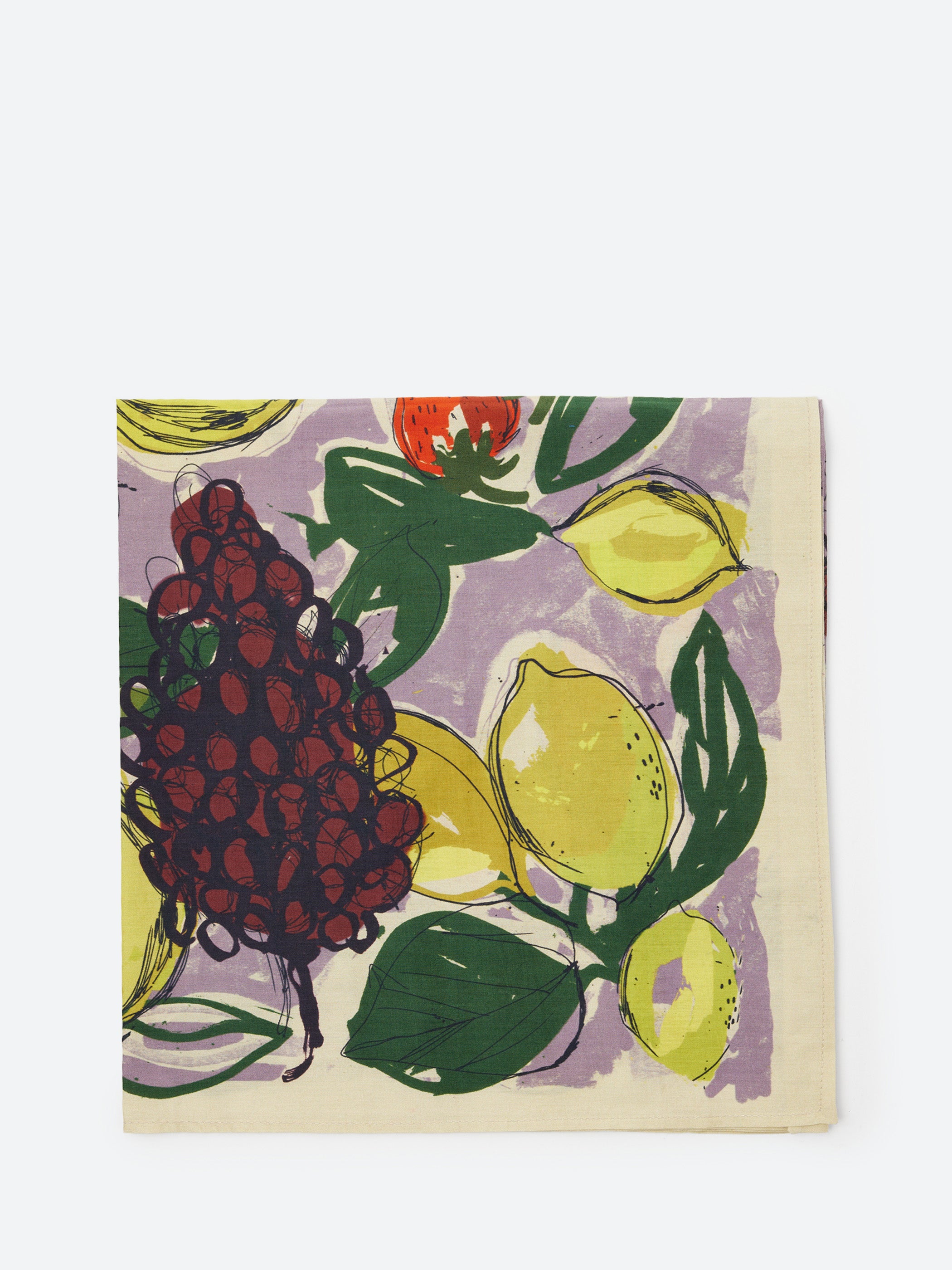 Sketched Fruit Bandana