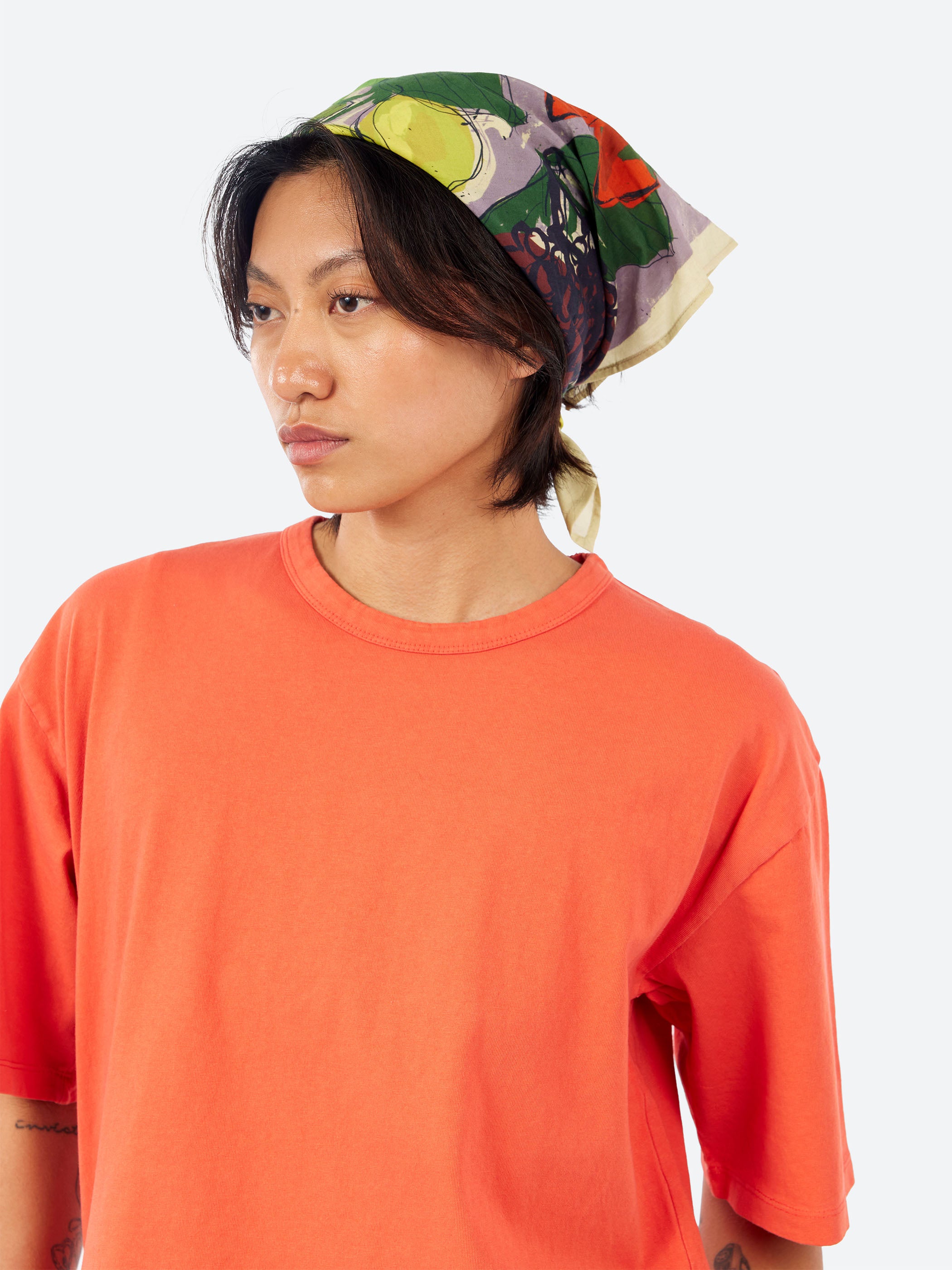 Sketched Fruit Bandana
