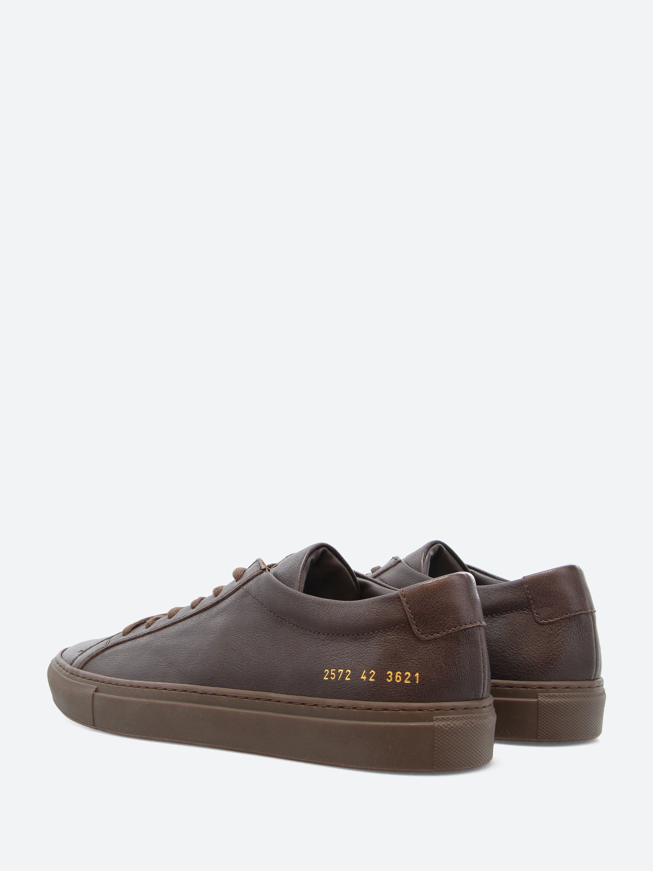 Common Projects - Achilles Premium in Brown – gravitypope