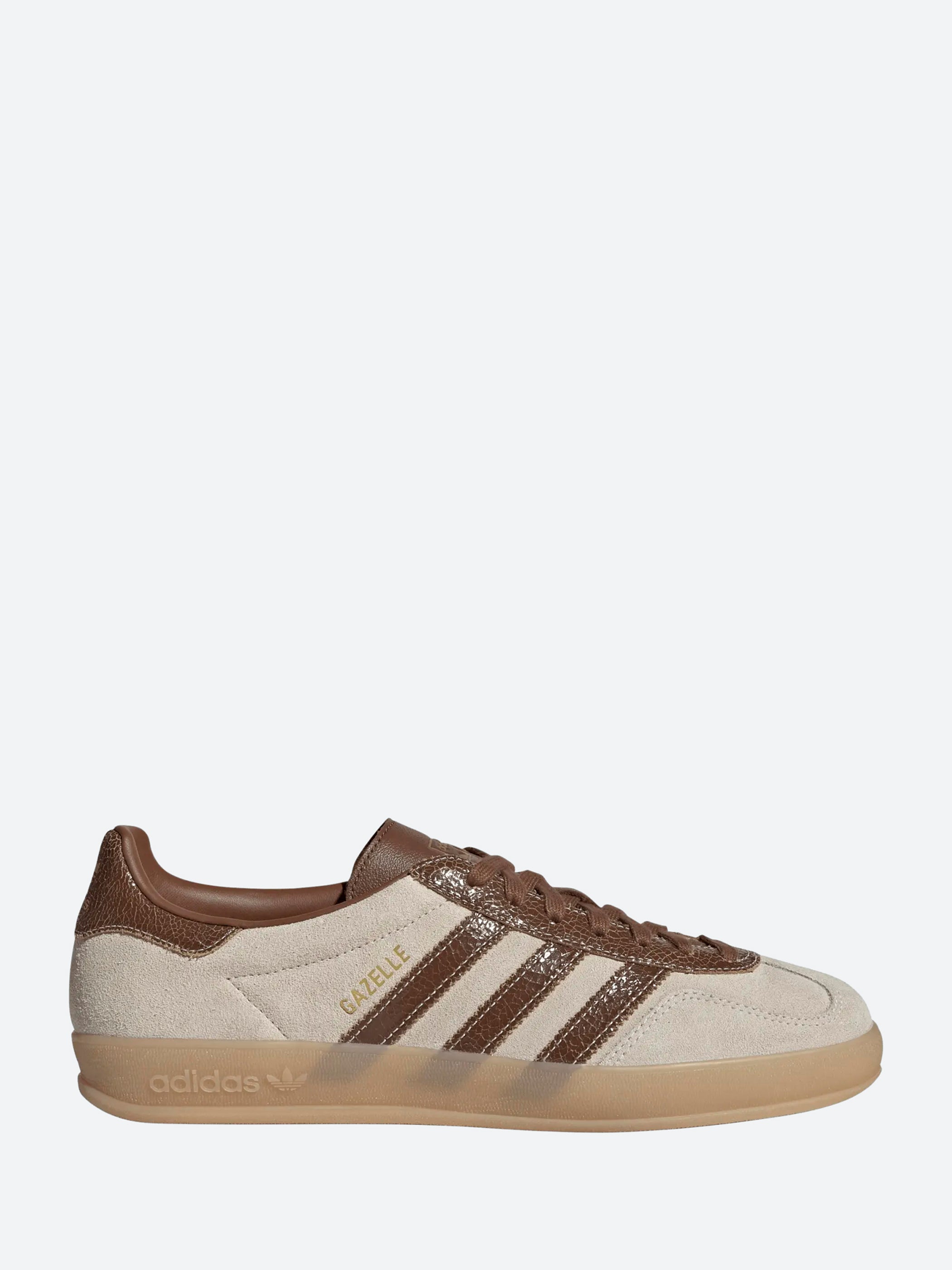 Gazelle Indoor