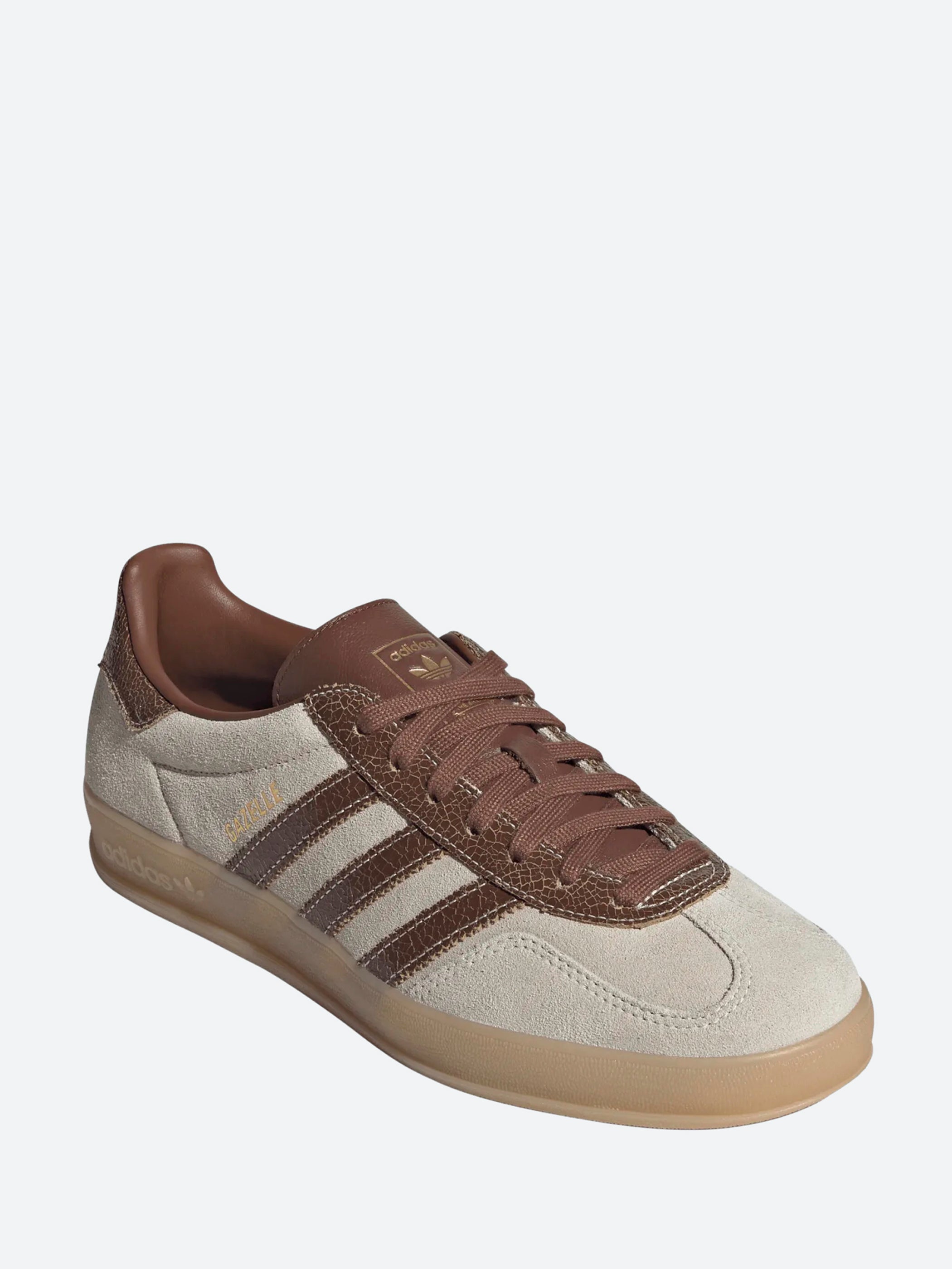 Gazelle Indoor
