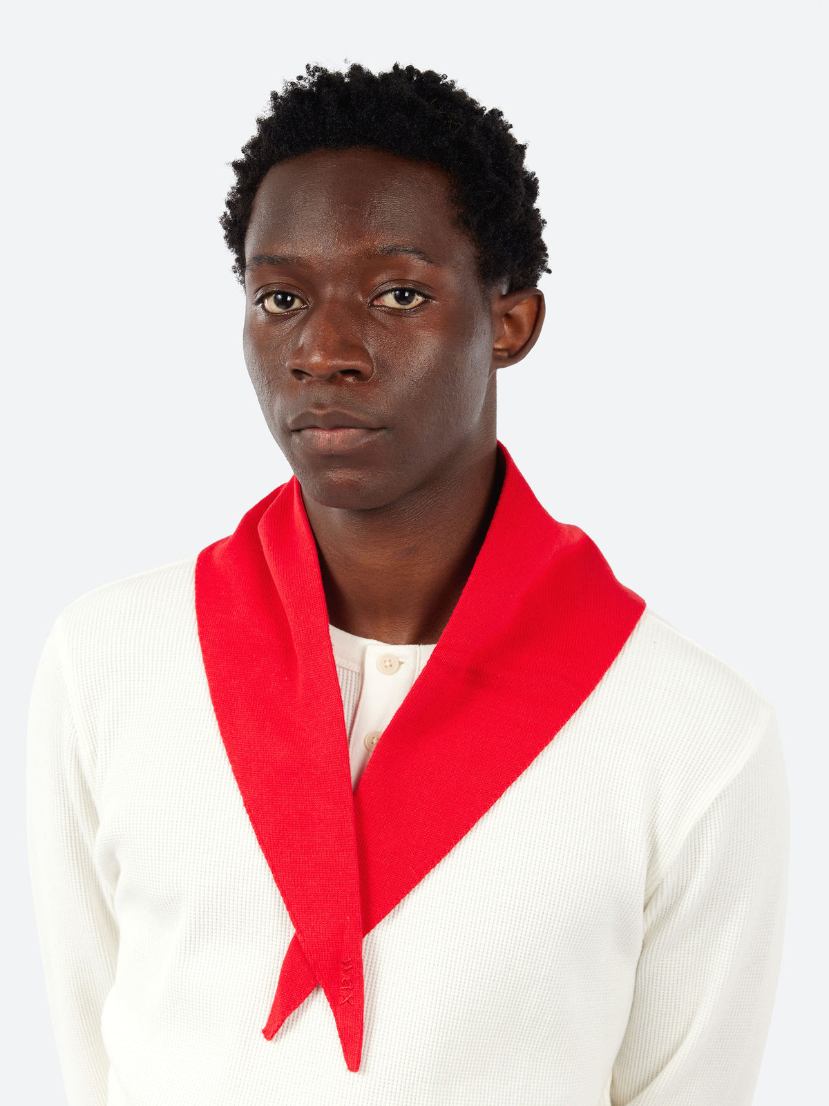 Arnold Scarf