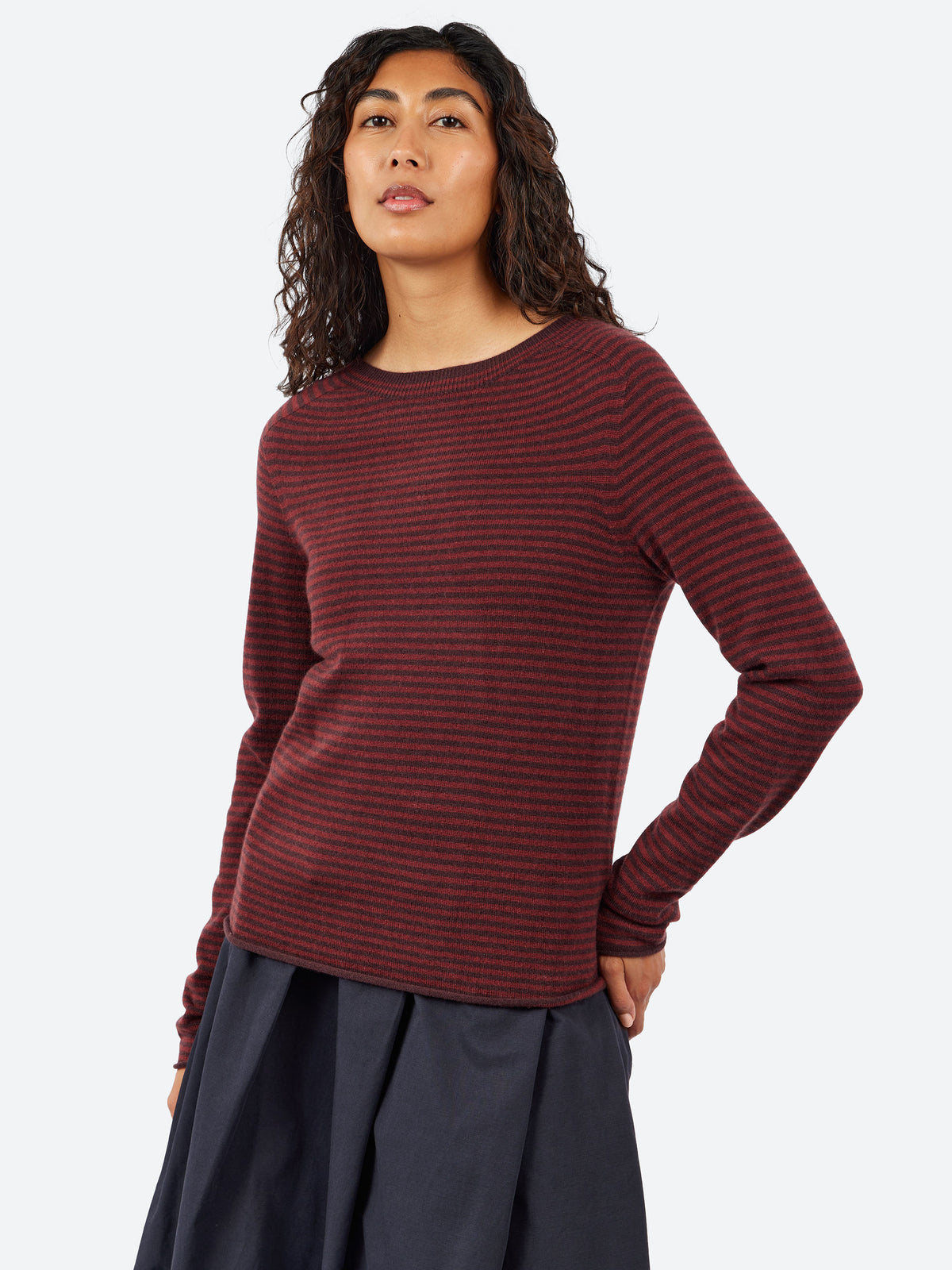 Stripe Wool Cashmere Neat Sweater