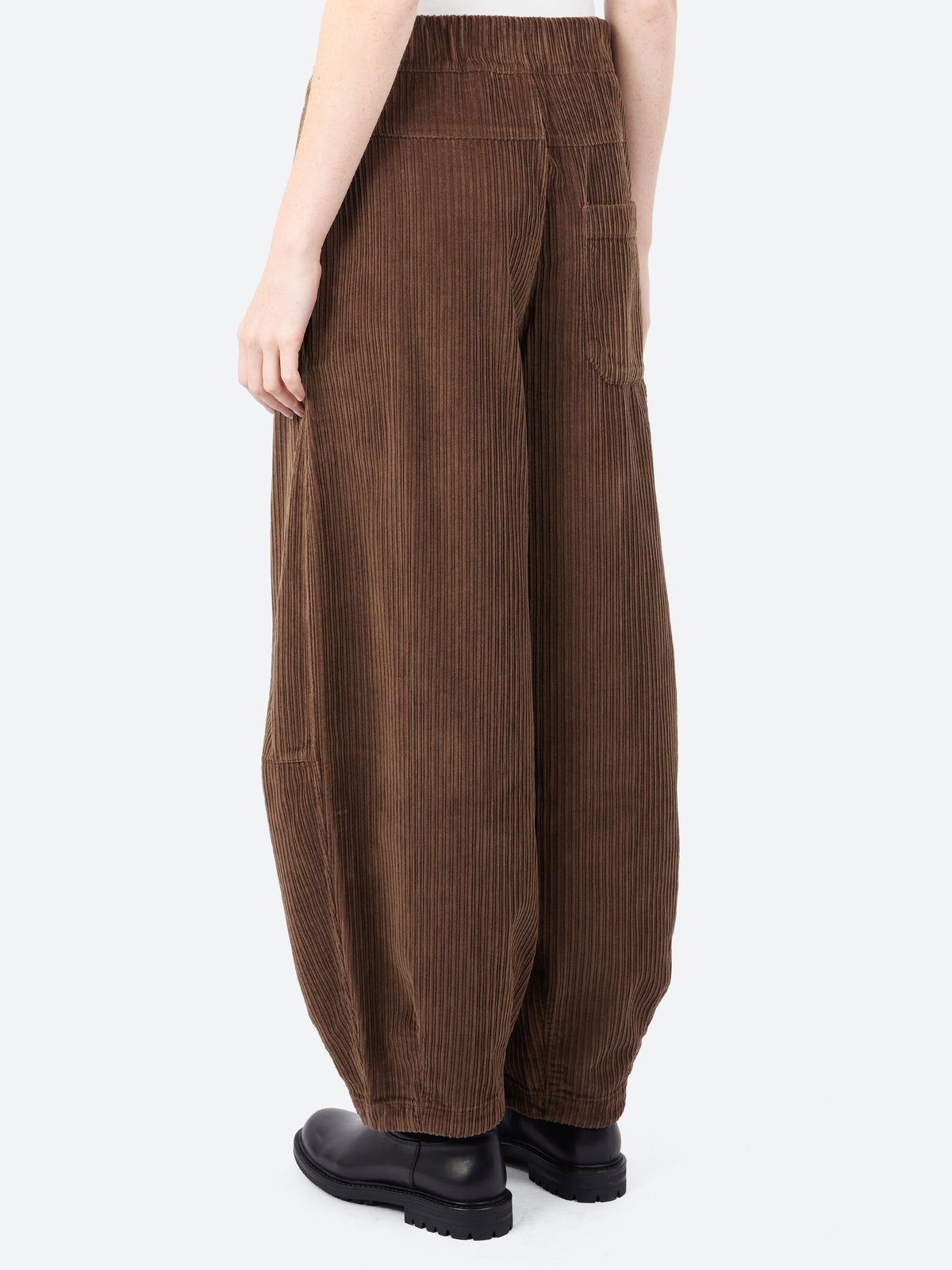 Sultan Pant