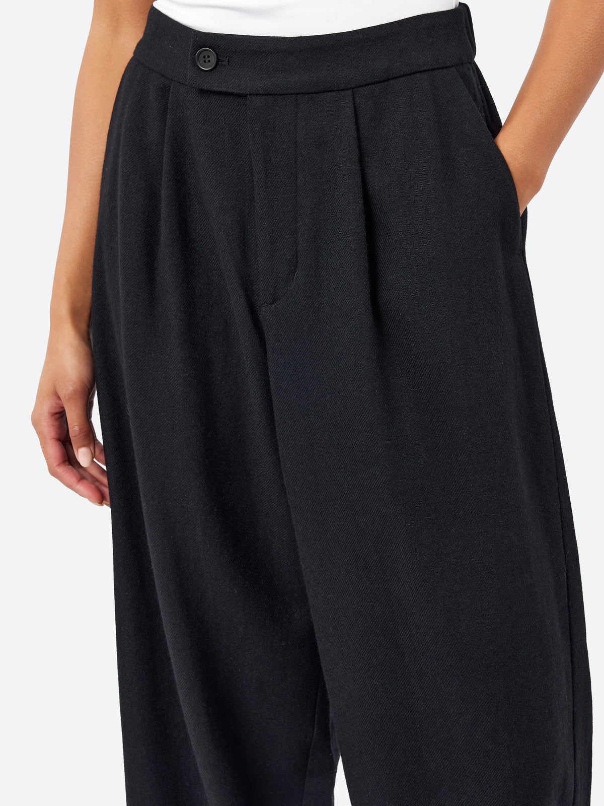 Wide Pleat Pants
