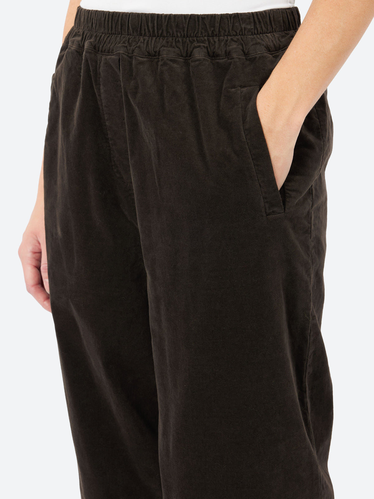 Pedra Pants