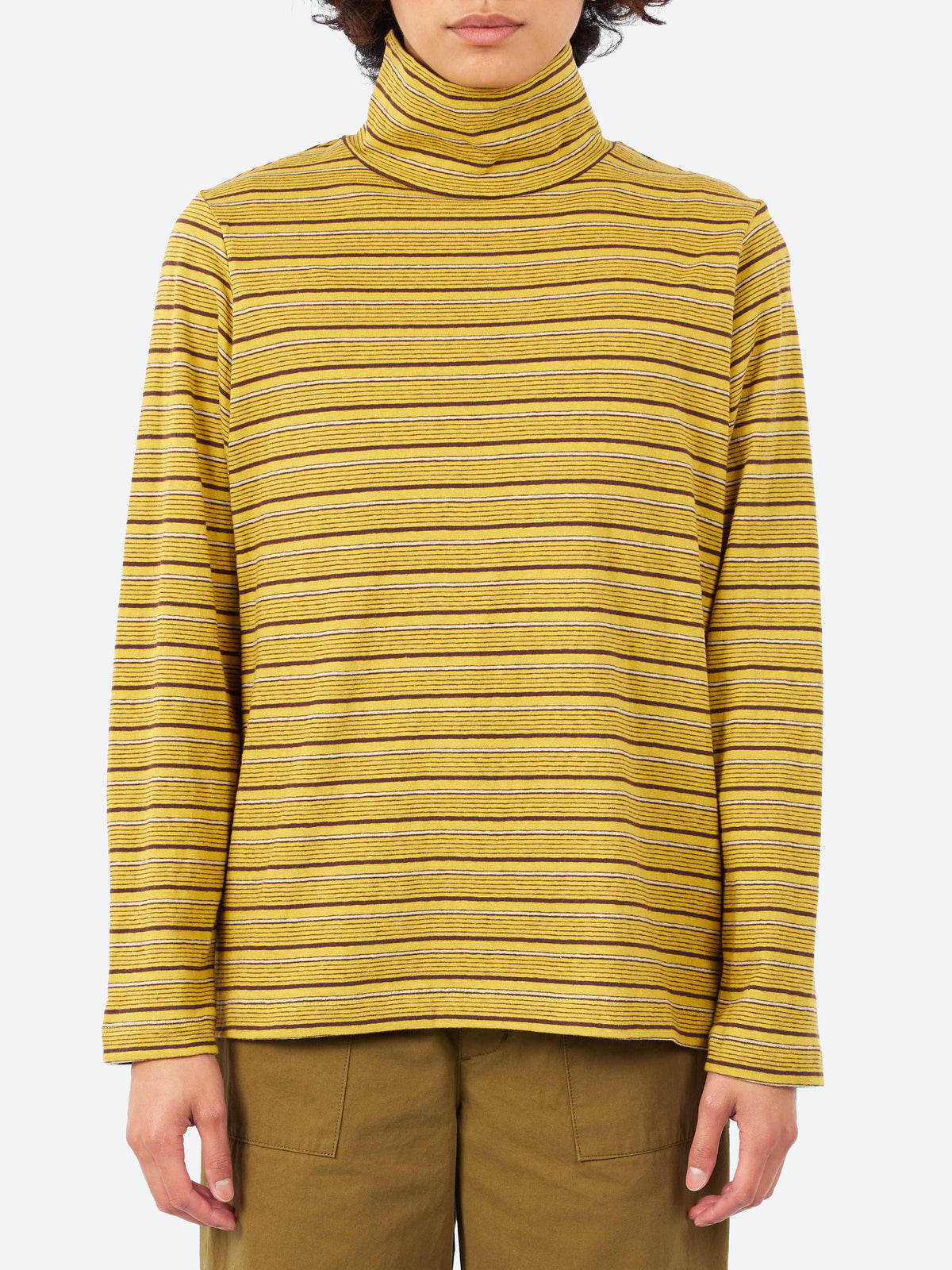 Multi Stripe Turtleneck