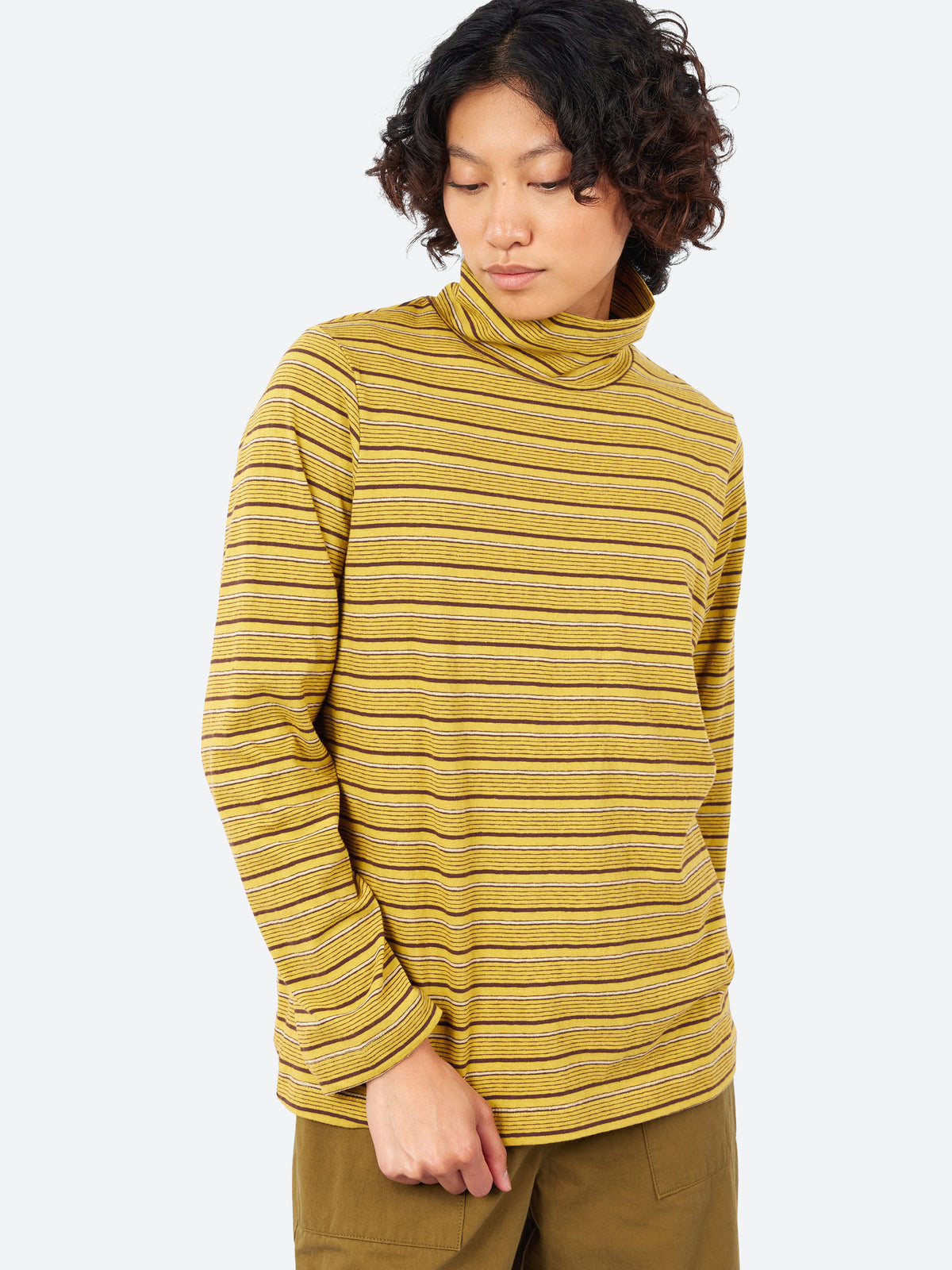 Multi Stripe Turtleneck