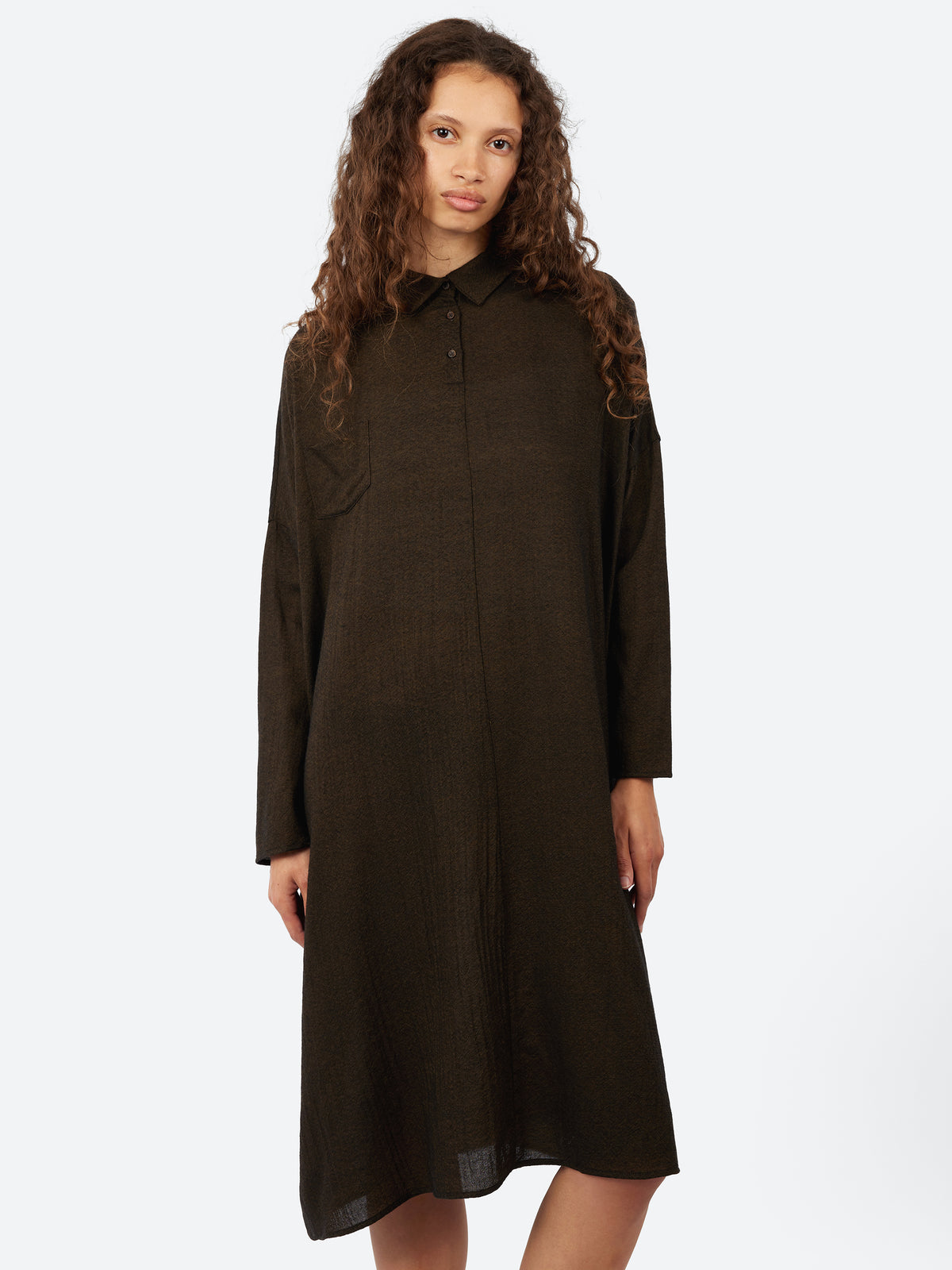 P1198 Shirt Dress