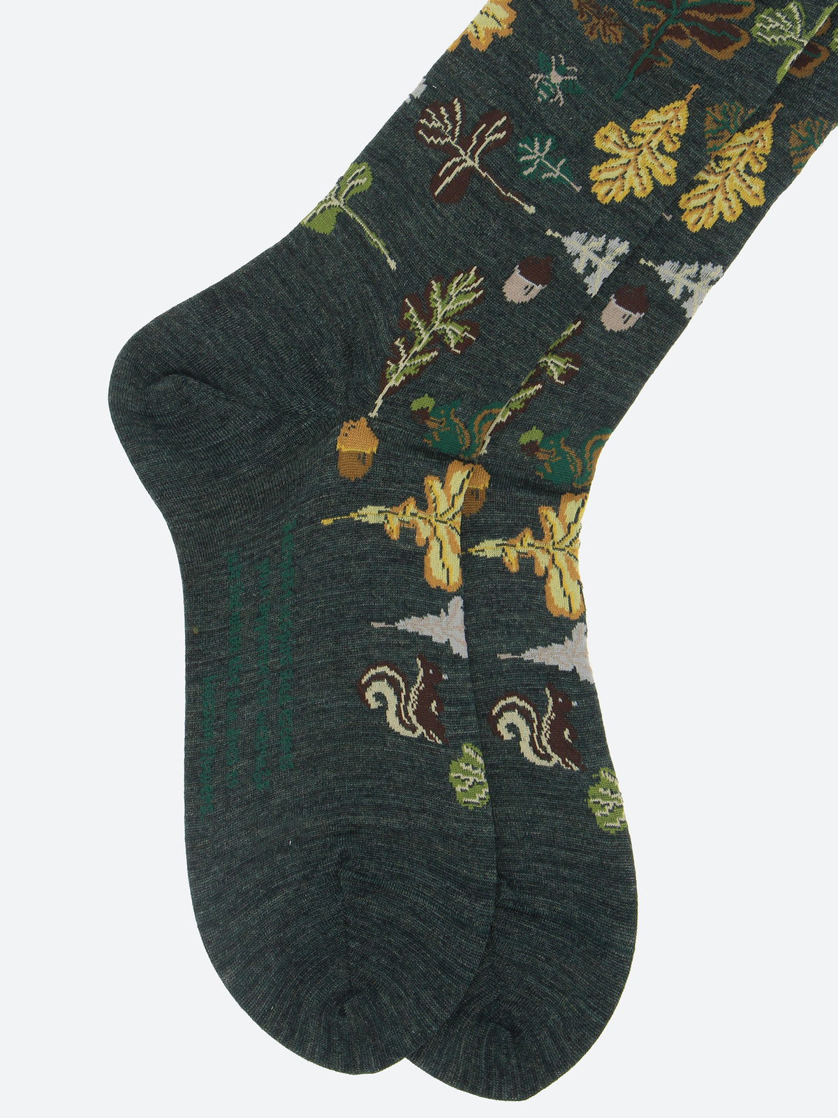 Autumn Park Socks