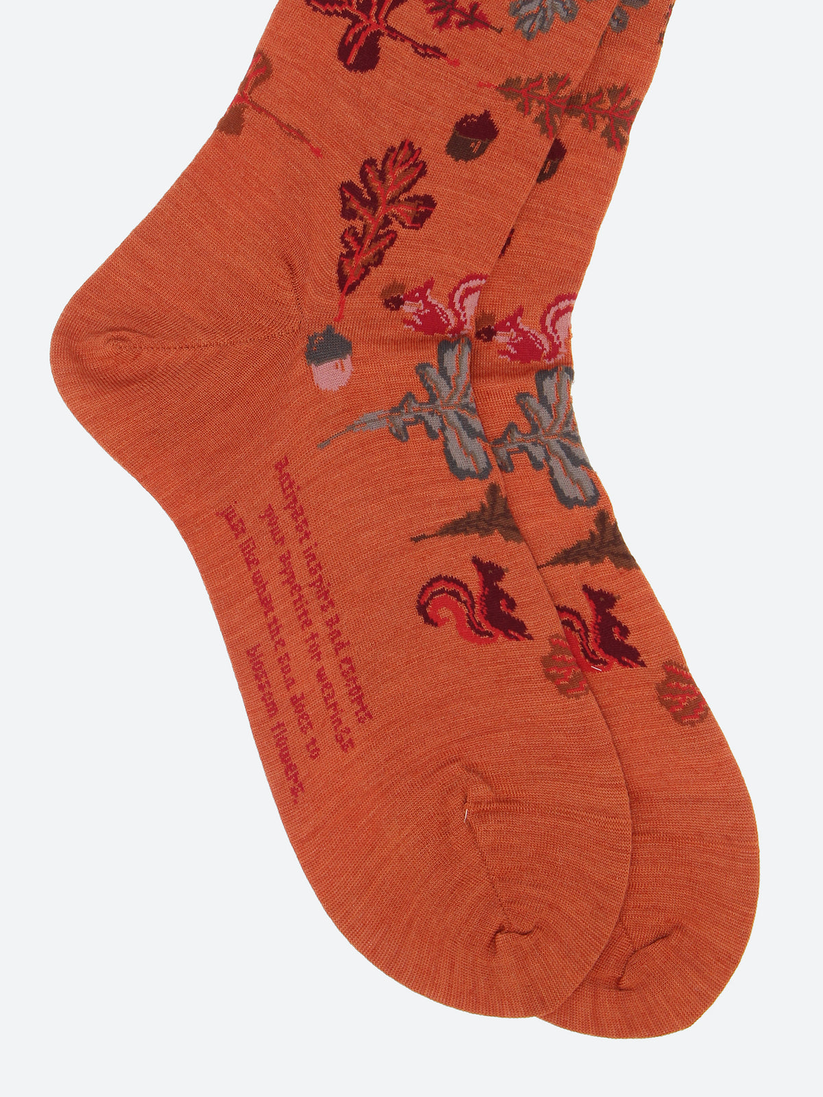 Autumn Park Socks
