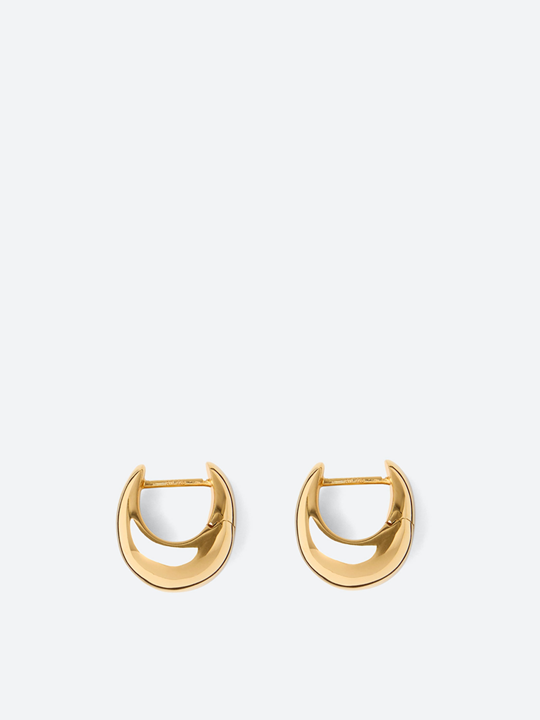 Violet Earrings