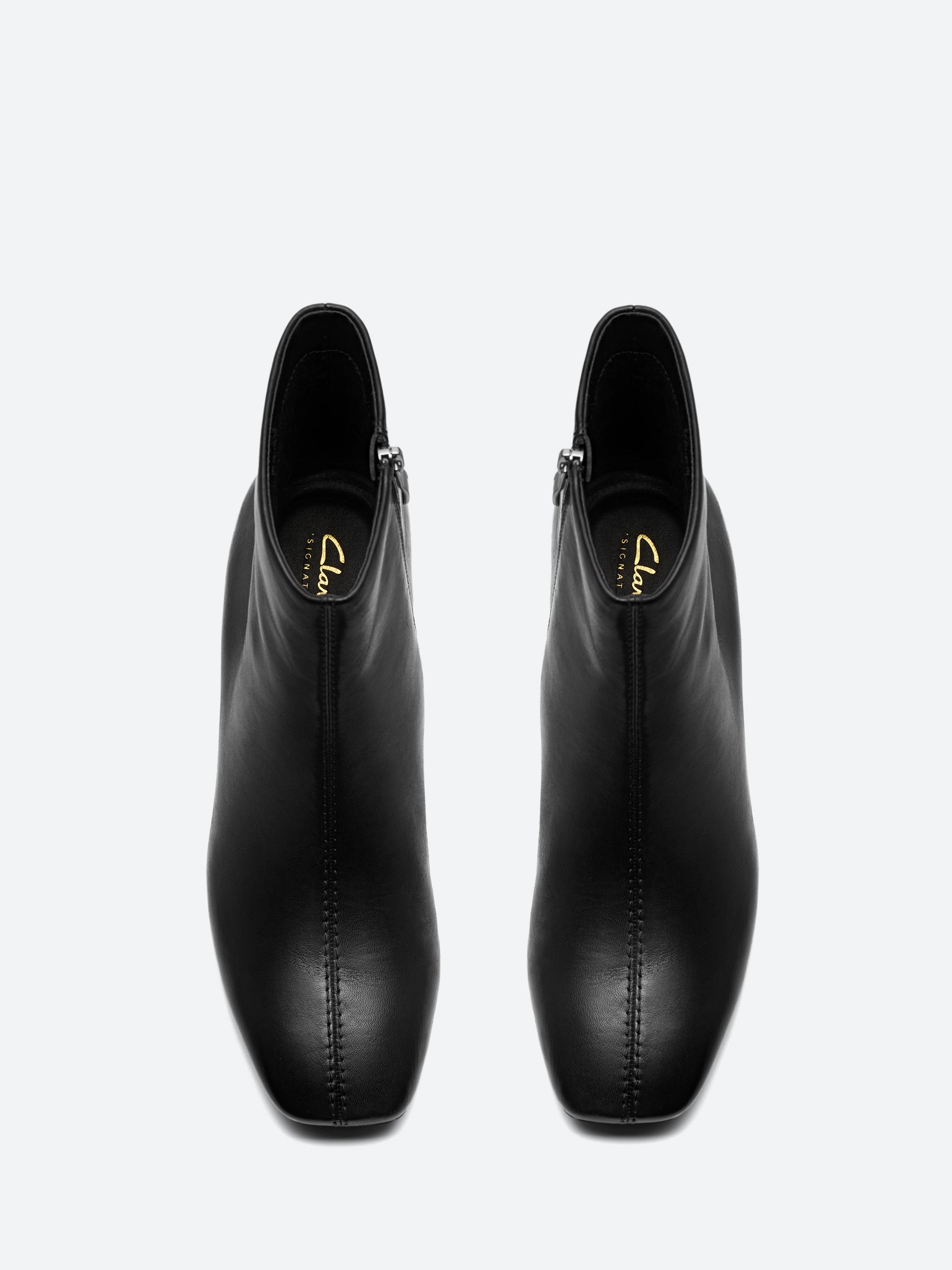 Fernie Zip
