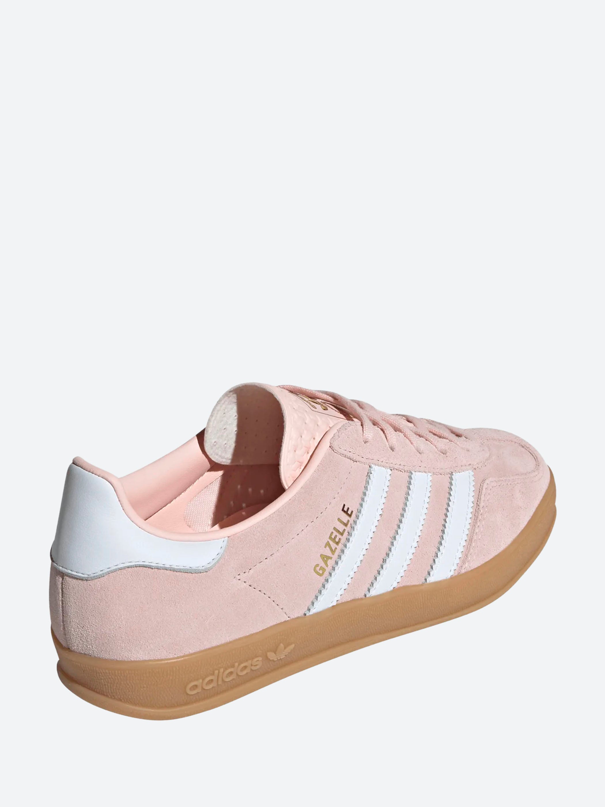 Gazelle Indoor