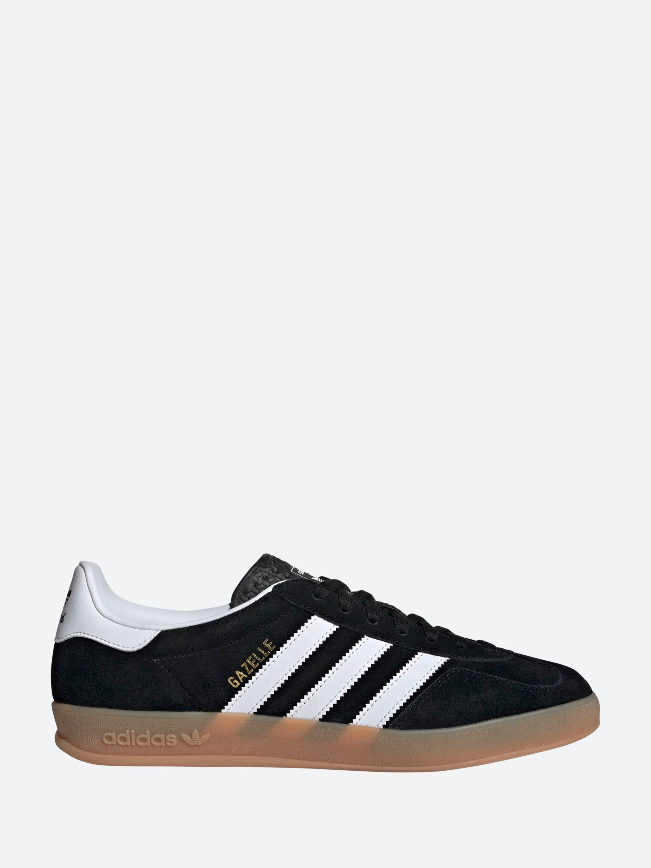 Gazelle Indoor